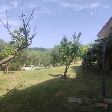 Borgo Villa A Tolli Castelnuovo dellʼAbate Buitenkant foto