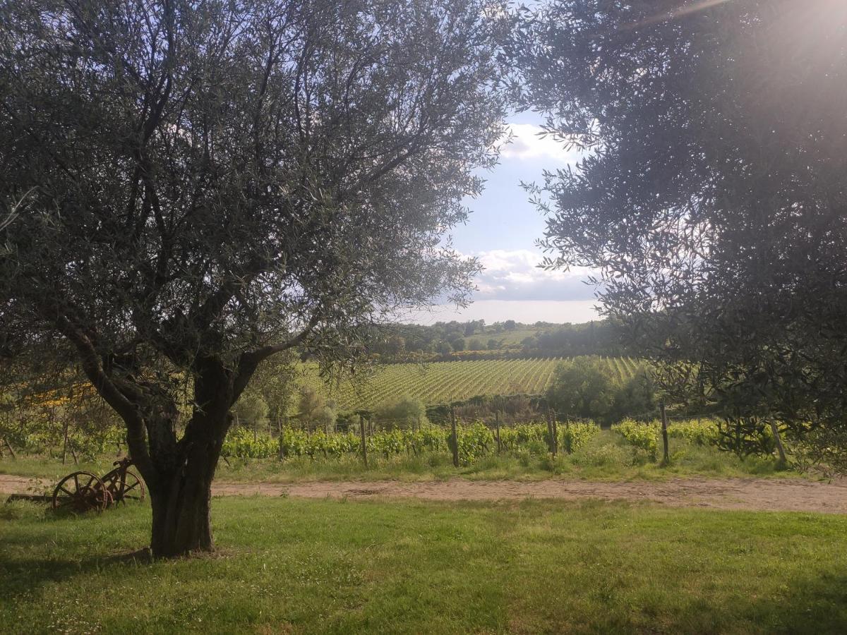 Borgo Villa A Tolli Castelnuovo dellʼAbate Buitenkant foto