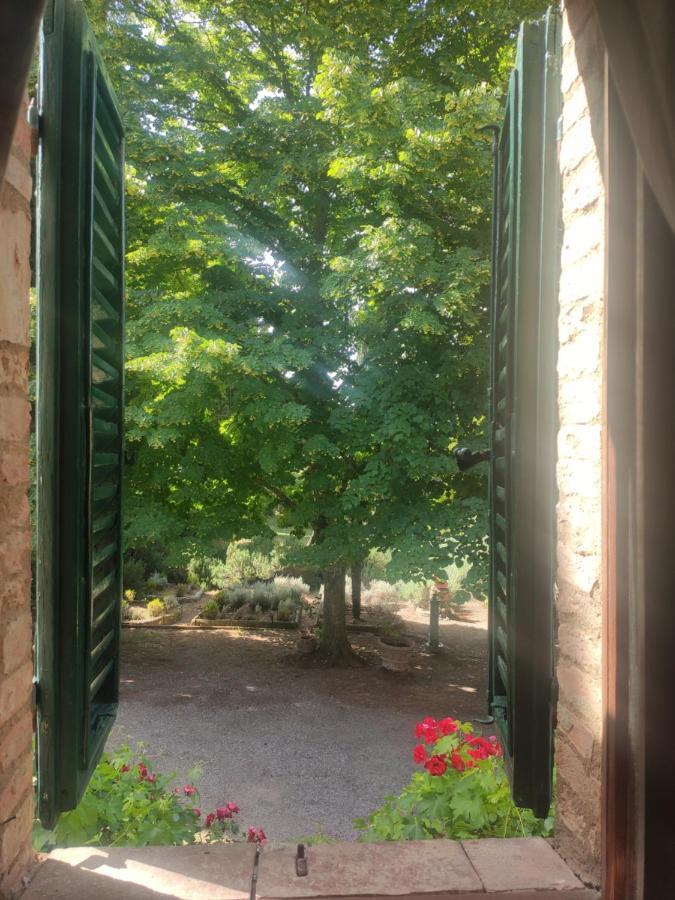 Borgo Villa A Tolli Castelnuovo dellʼAbate Buitenkant foto